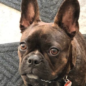 Meet your Posher, Jan